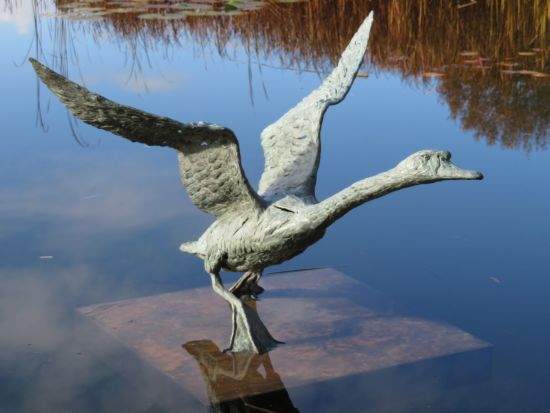 Deseo-verlangen is een groot bronzen beeld van een zwaan | bronzen beelden en tuinbeelden, figurative bronze sculptures van Jeanette Jansen |