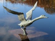 Deseo-verlangen is een groot bronzen beeld van een zwaan | bronzen beelden en tuinbeelden, figurative bronze sculptures van Jeanette Jansen |