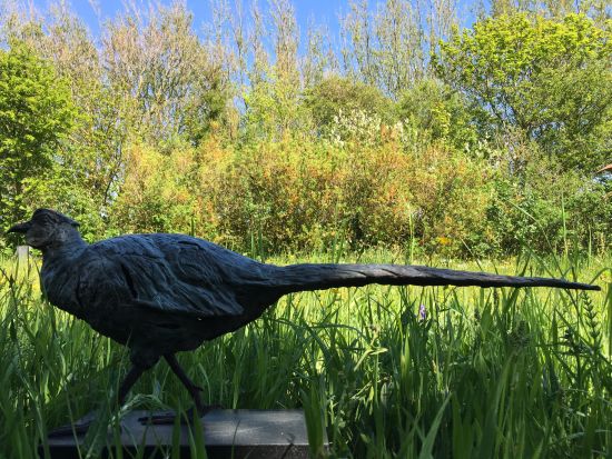 Vigilance-hoede is een bronzen beeld van een fazant | bronzen beelden en tuinbeelden, figurative bronze sculptures van Jeanette Jansen |