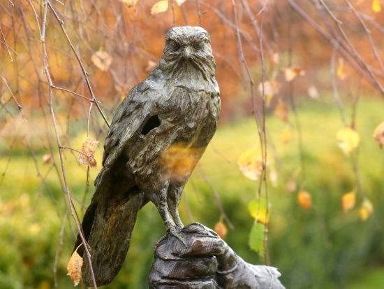 Cortante-scherpzinnig is een bronzen beeld van een torenvalk op een valkeniershandschoen | bronzen beelden en tuinbeelden, figurative bronze sculptures van Jeanette Jansen |