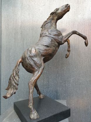 Feroz-fel is steigerend paard van brons | bronzen beelden en tuinbeelden, figurative bronze sculptures van Jeanette Jansen |