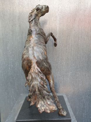 Feroz-fel is steigerend paard van brons | bronzen beelden en tuinbeelden, figurative bronze sculptures van Jeanette Jansen |